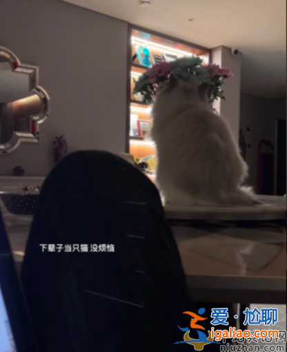 鐘麗緹和張倫碩有寶寶嗎?二女兒情緒低落疑似抑郁 父母婚姻狀態成謎