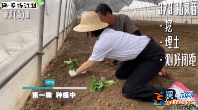 孫儷近況曝光!承包大棚翻土播種 網友留言紛紛點贊