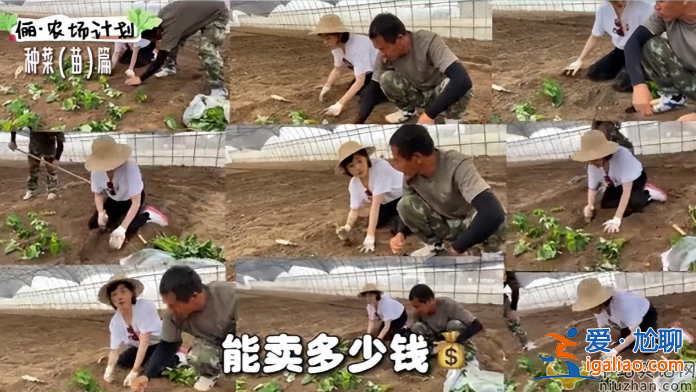 孫儷近況曝光!承包大棚翻土播種 網友留言紛紛點贊