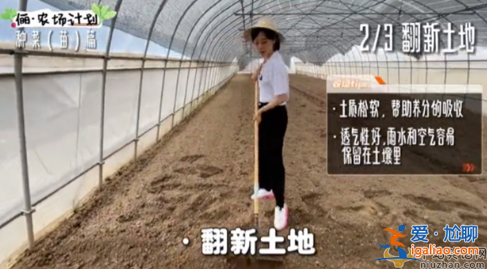 孫儷近況曝光!承包大棚翻土播種 網友留言紛紛點贊