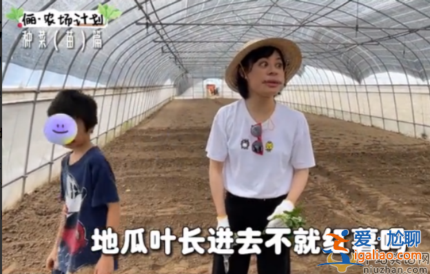 孫儷近況曝光!承包大棚翻土播種 網友留言紛紛點贊