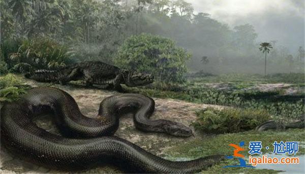 廣西發(fā)現(xiàn)史前大型蛇類遺存，，當(dāng)?shù)孬C食蛇類歷史或有六千年[史前]？