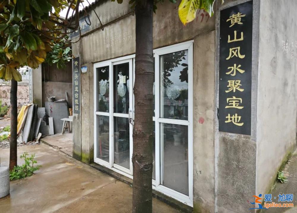 村中集體土地被侵占建墓地售賣 村民多次反映未果？