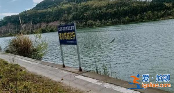 女孩跳江獲救，3名營(yíng)救者不幸溺亡[女孩]？