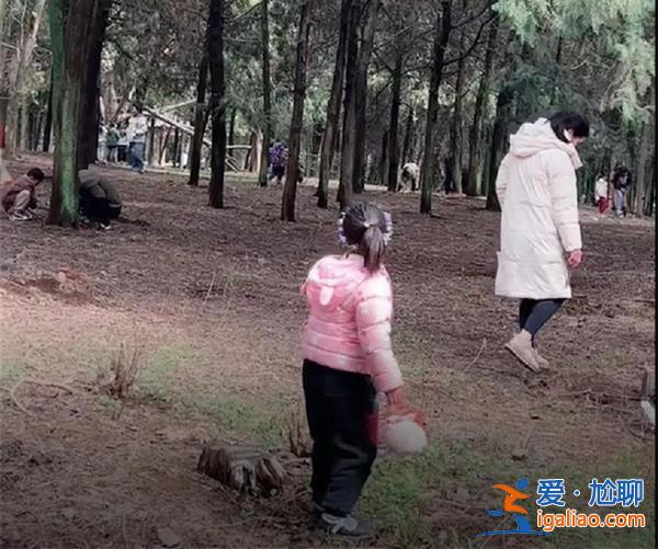 江蘇一地上百人帶工具進山挖黃金，當地回應挖的是昆蟲[環境保護]？