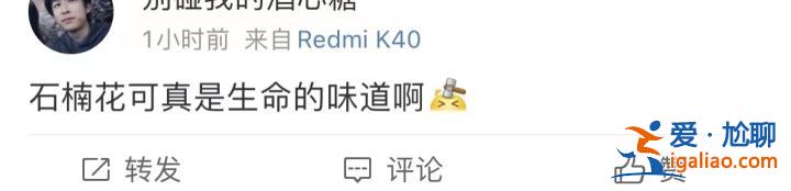 味道不可描述！石楠花又腥又臭 為什么還全國各地大面積種？