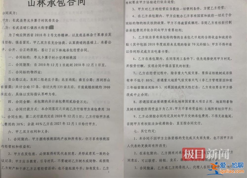 村民因合同糾紛10天砍樹1600余棵 當(dāng)?shù)爻闪⒄{(diào)查組？