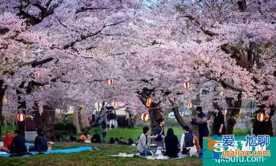 蘇州哪里有櫻花 2022蘇州櫻花觀賞門票及地址介紹？