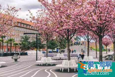 2022丹麥櫻花觀賞攻略？