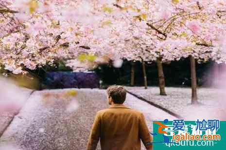 2022丹麥櫻花觀賞攻略？