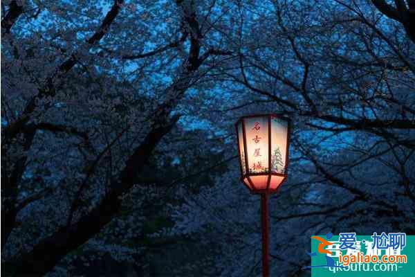 關(guān)西櫻花觀賞地點(diǎn)推薦？