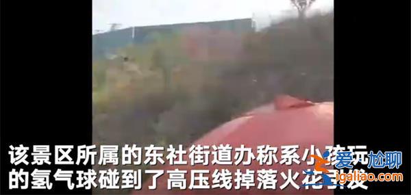 太原玉泉山景區一小孩玩氫氣球碰到高壓線后引發火災[引發火災]？