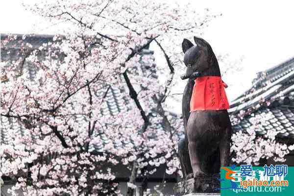 關(guān)西櫻花觀賞地點(diǎn)推薦？