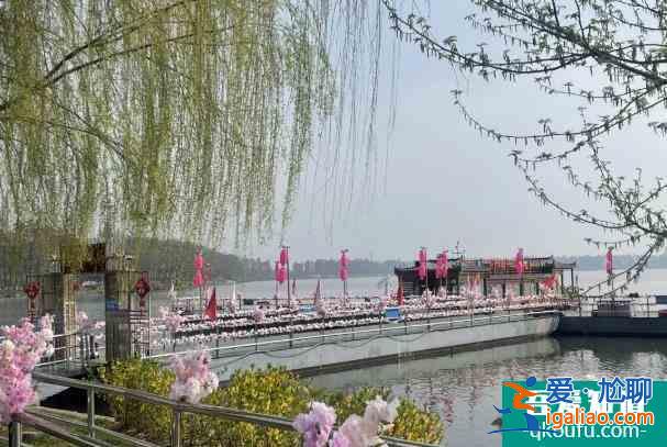 武漢東湖櫻花園2022年開放時間 賞花攻略？