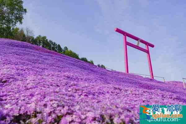 2022北海道櫻花季觀賞地點(diǎn)推薦 北海道有哪些旅游景點(diǎn)？