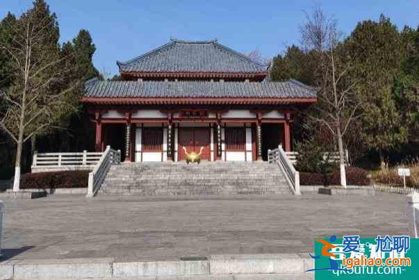 2022徐州彭祖園櫻花什么時候開? 2022徐州彭祖園櫻花什么時候開?