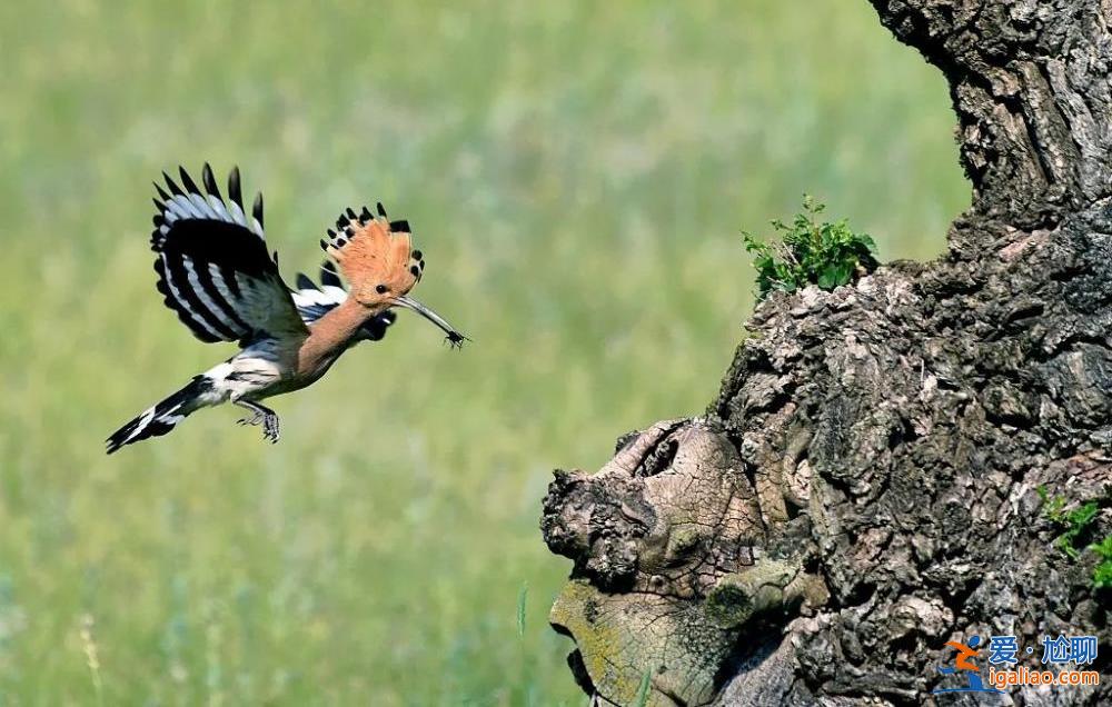 超25省份將開啟冷暖逆轉(zhuǎn) 多地氣溫降幅可超20℃？