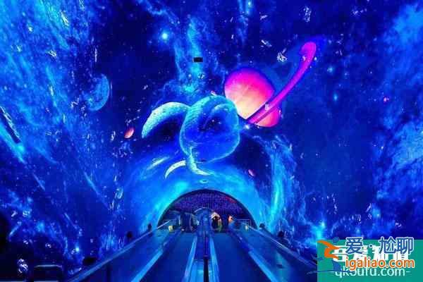 佛山哪個海洋館比較好 必去打卡游玩的海洋館? 佛山哪個海洋館比較好 必去打卡游玩的海洋館?