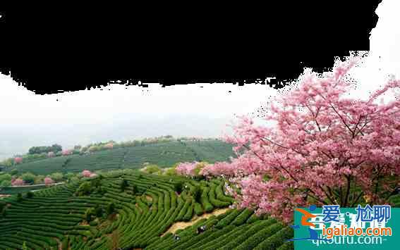 永福櫻花園需要門票嗎 永福2022年櫻花門票及花期介紹? 永福櫻花園需要門票嗎 永福2022年櫻花門票及花期介紹?