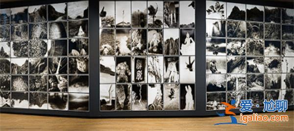 影像上海回歸 年輕群像或可洞見未來? 影像上海回歸 年輕群像或可洞見未來?