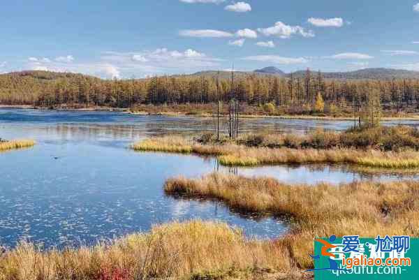 2022陜西紅河谷景區2月開園福利？