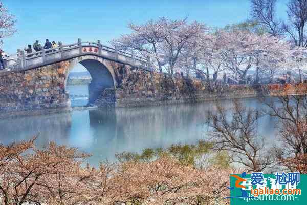2022無錫黿頭渚櫻花什么時(shí)候開？