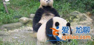 不存在故意不收回? 不存在故意不收回?