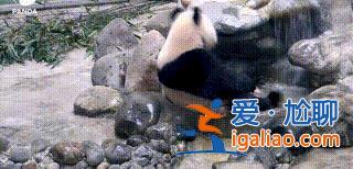 不存在故意不收回? 不存在故意不收回?