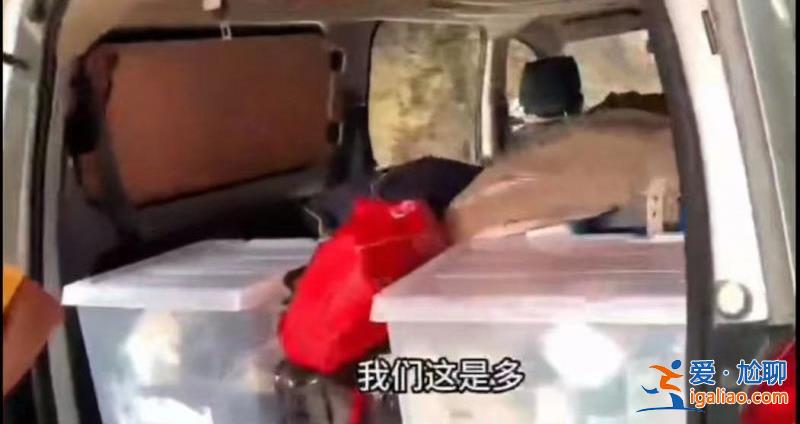 網友貴州自駕游被查 因車內裝有生活用品被交警認定“人貨混裝”？