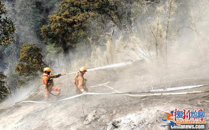 四川稻城縣雷擊森林火災撲救進行中 火場地形復雜多為斷崖？