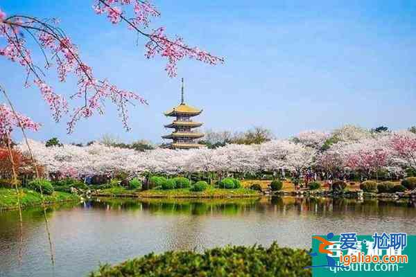 2022東湖櫻園什么時候開門 及最佳觀賞時間？