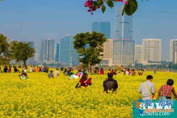 2022福州花海公園油菜花什么時候開？