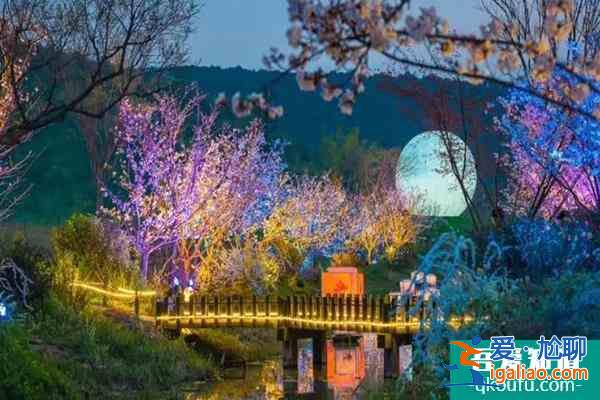 無錫拈花灣櫻花什么時候開2022 最佳賞櫻時間及賞櫻地點? 無錫拈花灣櫻花什么時候開2022 最佳賞櫻時間及賞櫻地點?