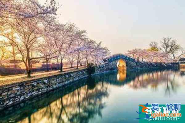 無錫拈花灣櫻花什么時候開2022 最佳賞櫻時間及賞櫻地點? 無錫拈花灣櫻花什么時候開2022 最佳賞櫻時間及賞櫻地點?