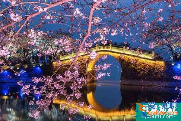 2022無錫黿頭渚賞櫻花攻略 附最佳時間及賞櫻路線？