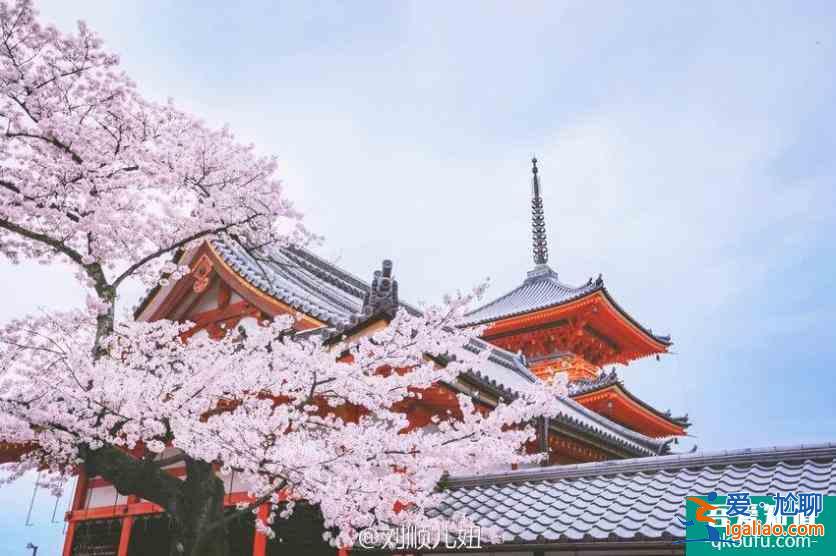 日本櫻花幾月開 2022日本櫻花開放時間及賞櫻地點介紹？