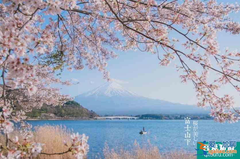 日本櫻花幾月開 2022日本櫻花開放時間及賞櫻地點介紹？