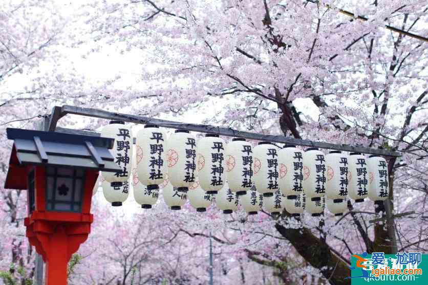 日本櫻花幾月開 2022日本櫻花開放時間及賞櫻地點介紹？