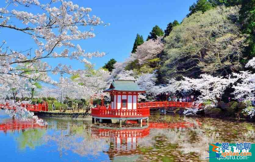 日本櫻花幾月開 2022日本櫻花開放時間及賞櫻地點介紹？
