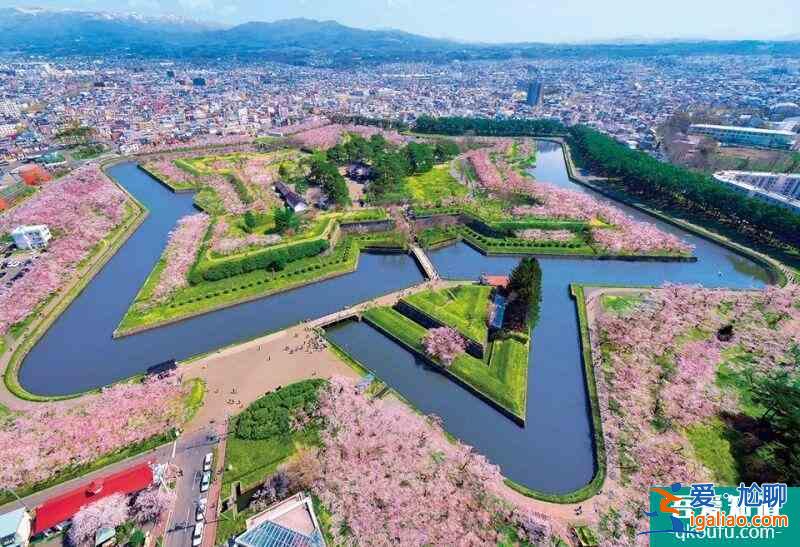 日本櫻花幾月開 2022日本櫻花開放時間及賞櫻地點介紹？