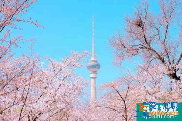 國內(nèi)三四月份適合旅游的地方？