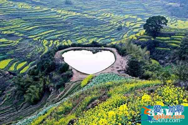婺源油菜花旅游攻略 幾月份最好？