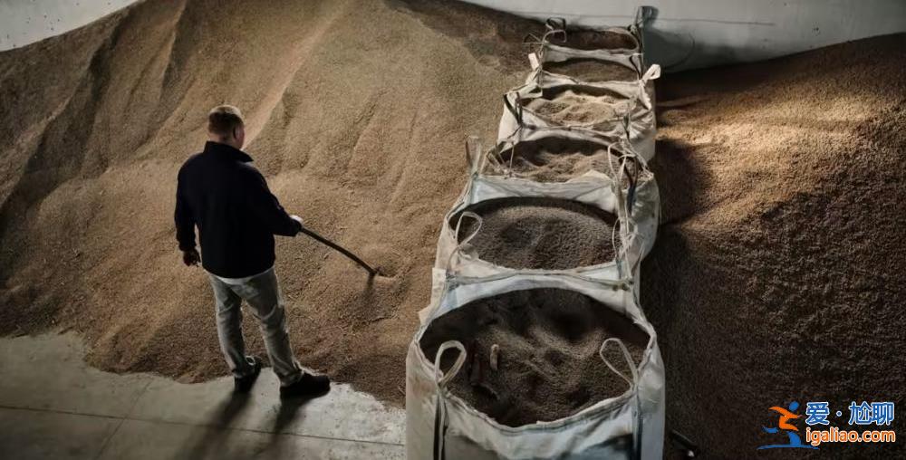 歐盟提供補貼 五國取消烏克蘭糧食禁令? 歐盟提供補貼 五國取消烏克蘭糧食禁令?