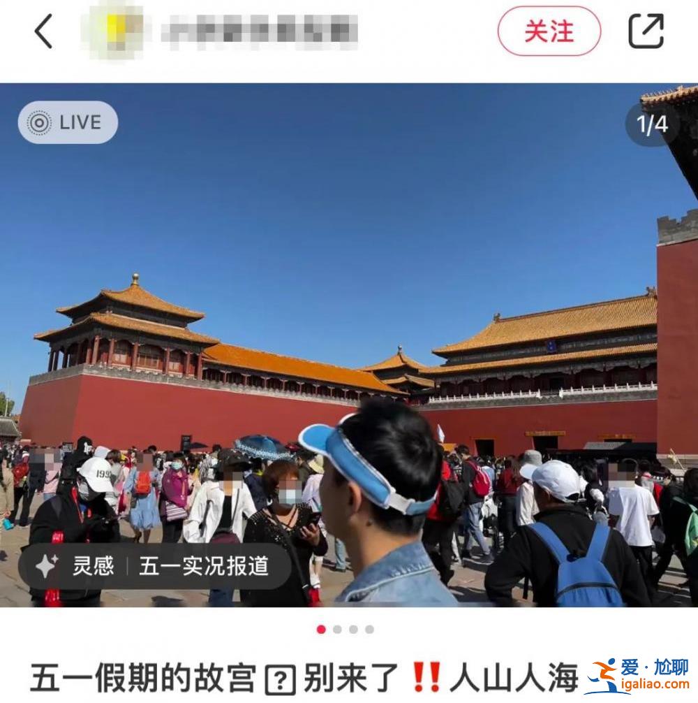 約滿！寸步難行！第一波景區實況來了？