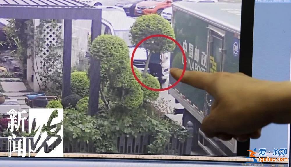 上海一價值萬元的寵物鴨在花園散步被人擄走 差點被做成“老鴨煲”？