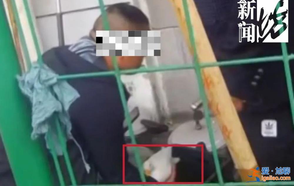 上海一價值萬元的寵物鴨在花園散步被人擄走 差點被做成“老鴨煲”？