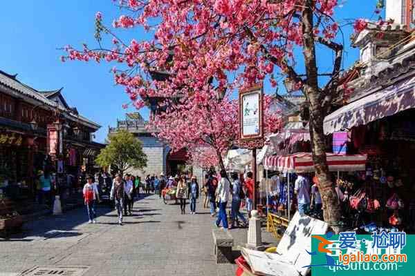 2022大理櫻花幾月開(kāi) 大理賞櫻花最美的地方？