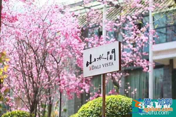 2022大理櫻花幾月開(kāi) 大理賞櫻花最美的地方？
