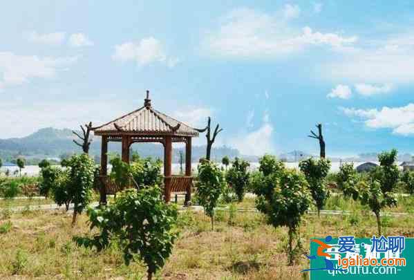 2022武漢蔡甸戶口免費游蔡甸景區有哪些？