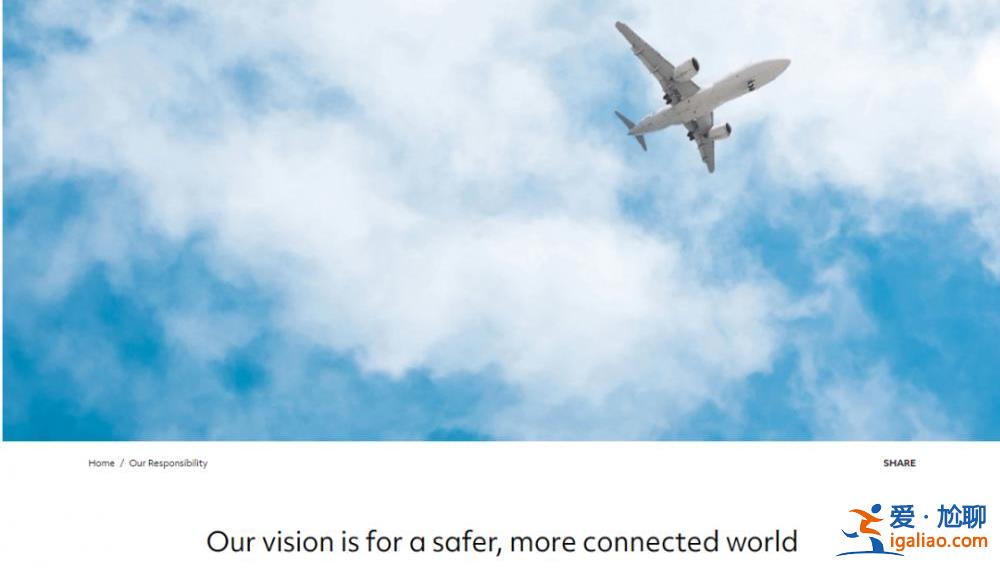 美國軍火大佬墜亡 誰關掉了發動機?? 美國軍火大佬墜亡 誰關掉了發動機??